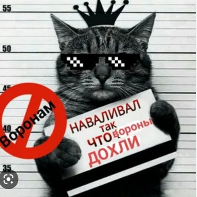Рома Шульга