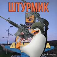 Штурмик