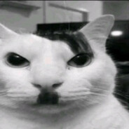 NaBoT