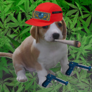 pdshnik
