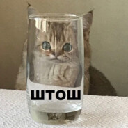 ScobaVishnevka#BroRust