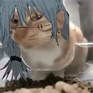 сын гачи