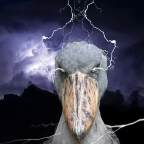Бэн Эна