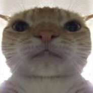 somple