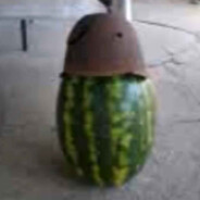 наш слоняра