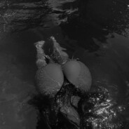 Sed0y-