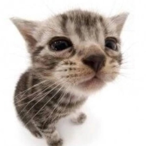 Костя Человек