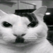 ne Diper
