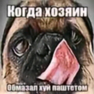 Sasalkin2566