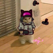 neXYYA