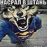 стрелок трампа(1)
