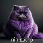 шпедик 2