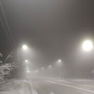 Winter(1)