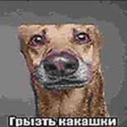 додик