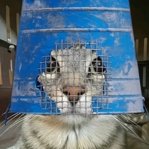 Александр Семченков