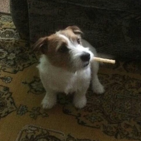 Макар Свинцов