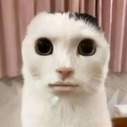 HertyGeeF