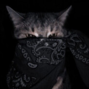 qq(1)
