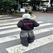 ?shirokage?