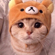ambassador_wb