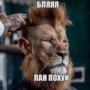 пасик 2