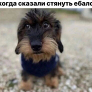 мегатрон