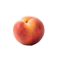 MeRaXeNo