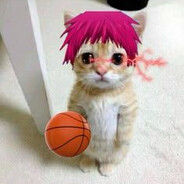 私は絶対です