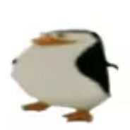 PingWin