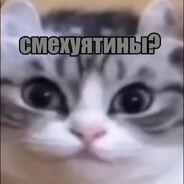POZITIV