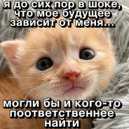 qZakq