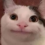BELUGA_SUS
