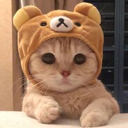 furcubik