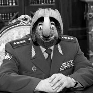 🌴🥥KoKoS🥥🌴