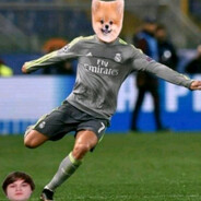 витявалапоп