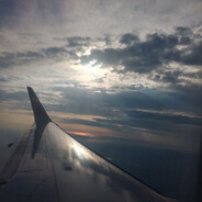 домовой зубоед