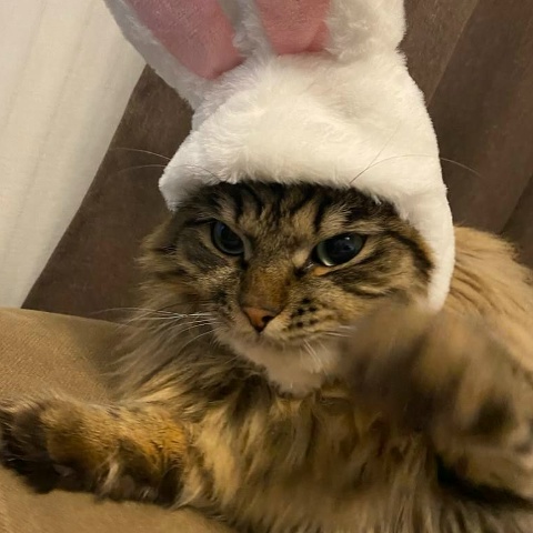 Артур Коренев