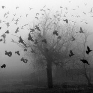 girlswantmebutiwantmmr