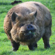 Жирнющий принц