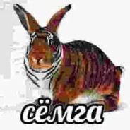 All1gator | semga🧦