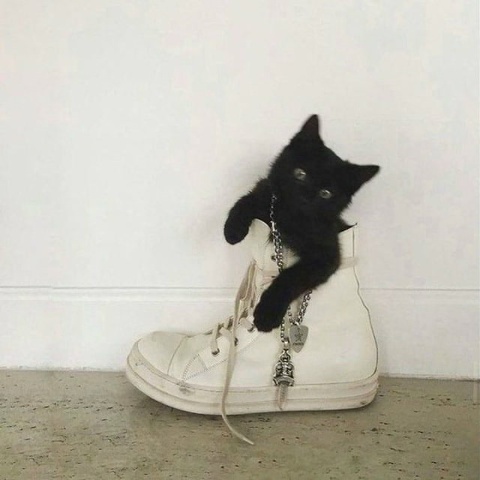 Егор Тренин