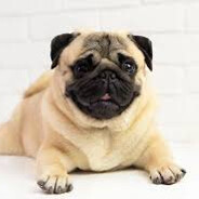 Святик Баранов