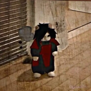 Меткий котик