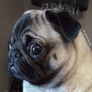 мясник по дереву