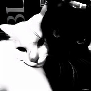 ✨スプーンラ✨