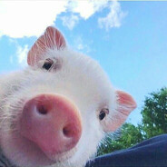 [BPAN] PIG#дубль_II